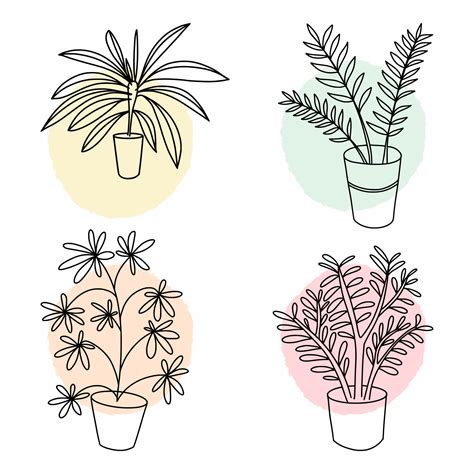 plant drawing
